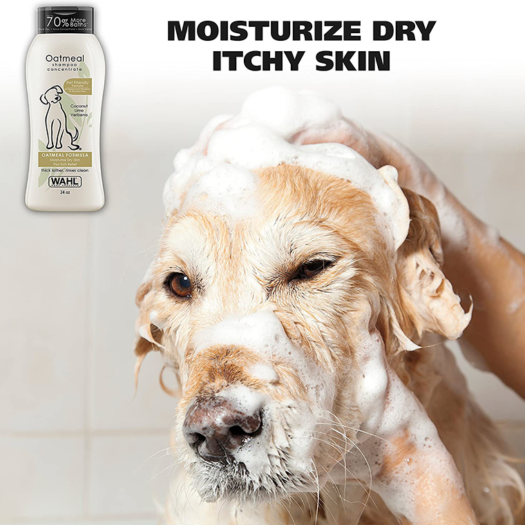 Shampoo for Dogs - Image 4